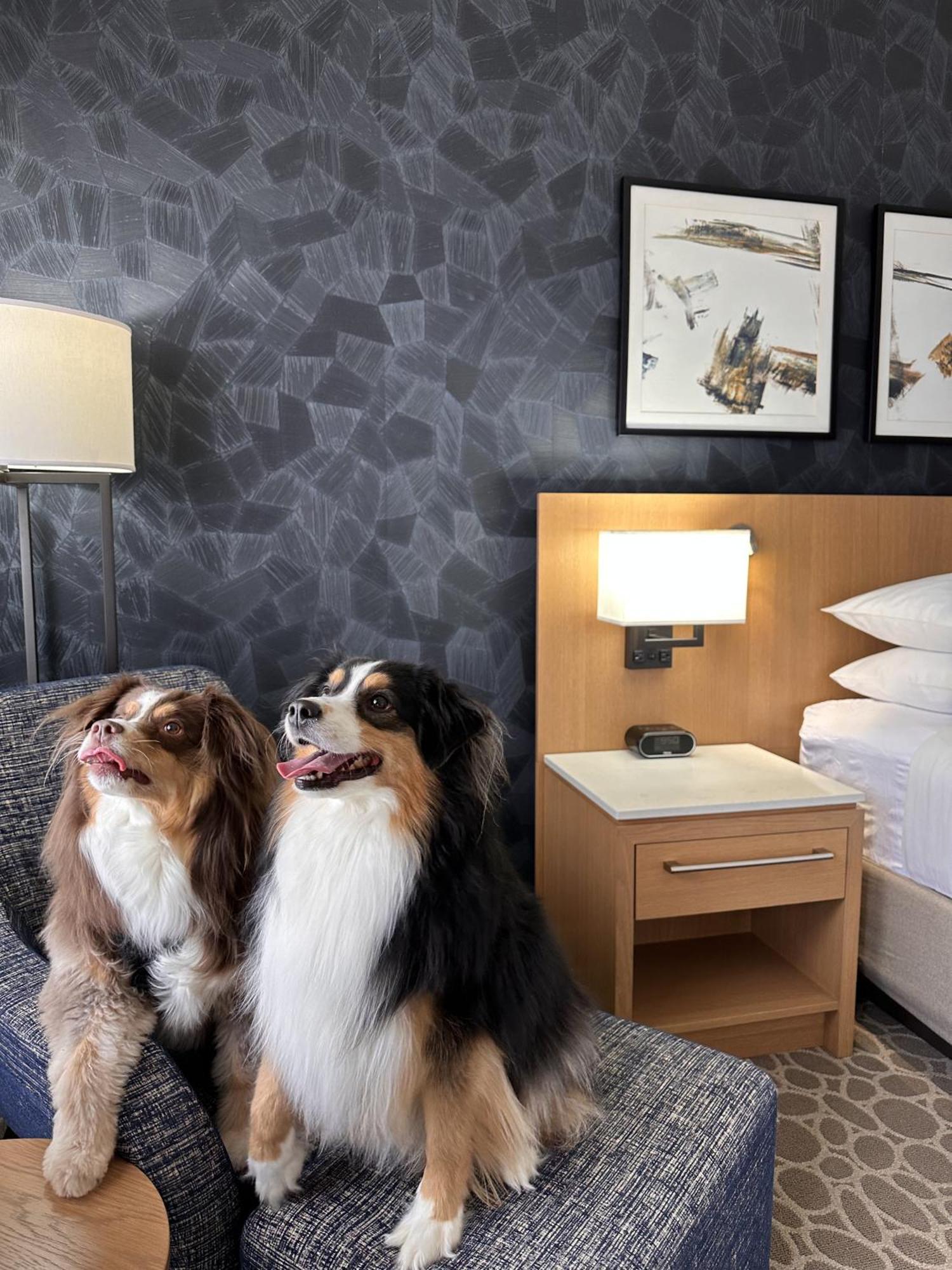 Delta Hotels By Marriott Calgary Downtown Екстер'єр фото